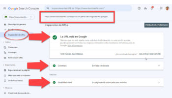 Cómo Verificar la Indexación de mi Página en Google indexada