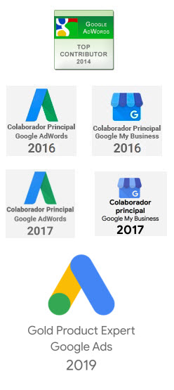 experto en adwords